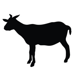 Goat Silhouettes Isolated on White Background