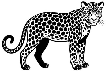 jaguar vector illustration