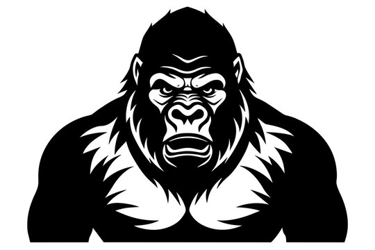 gorilla vector illustration