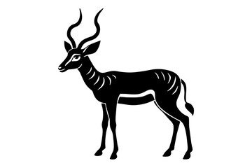 gazelle vector illustration