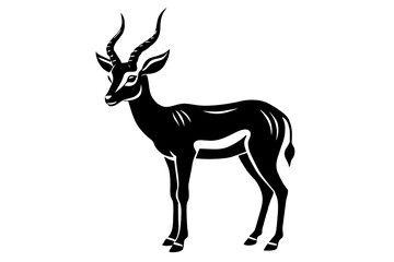 gazelle vector illustration