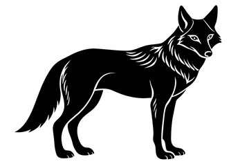coyote  vector illustration