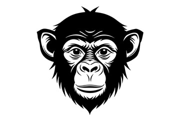 chimpanzee vector illustration