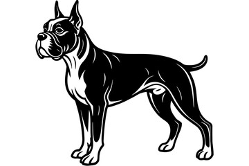 boxer dog vector illustration