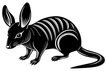 bilby vector illustration