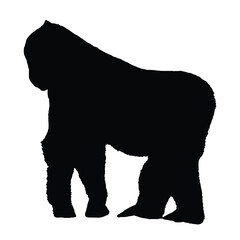 Gorilla Silhouettes Isolated on White Background