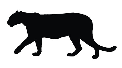 Obraz premium Leopard Silhouettes Isolated on White Background