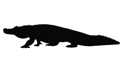 Crocodile Silhouettes Isolated on White Background