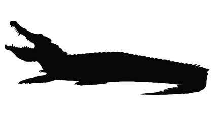 Crocodile Silhouettes Isolated on White Background