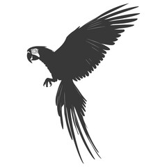 Silhouette Parrot Animal fly black color only full body