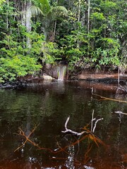 waterfall in the forest