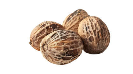 Fresh presentation of Nutmeg isolated on white transparent background