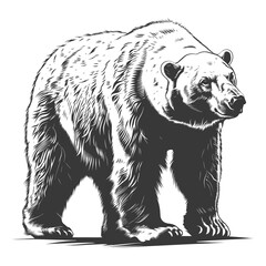 Silhouette Polar Bear Animal black color only full body