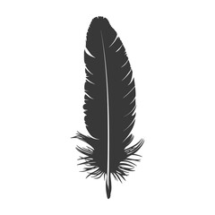 Silhouette single feather black color only
