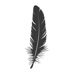 Rolgordijnen Veren Silhouette single feather black color only