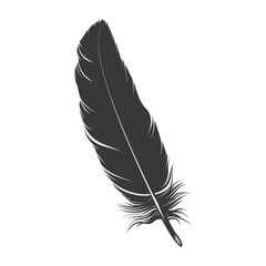 Silhouette single feather black color only