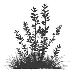 Silhouette small tall bush black color only