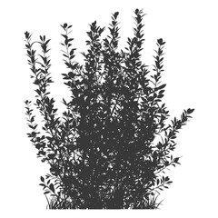 Silhouette small tall bush black color only