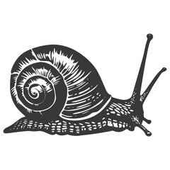 Silhouette snail Animal black color only full body