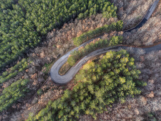 Top-down view of an hairpin bend in the middle of a forest with green and orange trees - 759196161