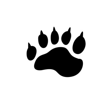 Animal Footprints Icon