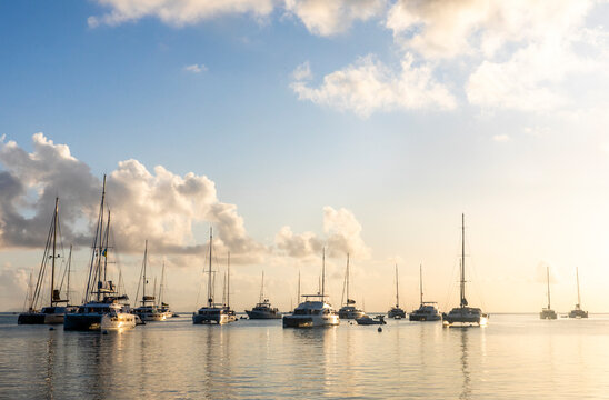 Sailboats and Yachts in Ocean at Sunset