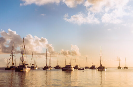 Sailboats and Yachts in Ocean at Sunset