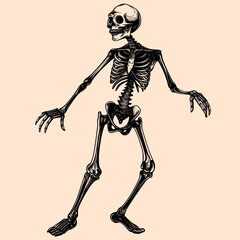 Black and White Pirate Character Outline Silhouette Ornament Vector Art for Logo and Icon, Sketch, Tattoo, Clip Art