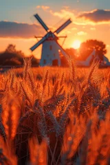  Ears of golden wheat and a mill. Beautiful natural landscape at sunset. A field with wheat © Александр Лобач