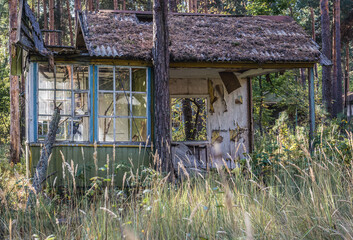 Ruined holiday cottage in Izumrudnoe summer camp in Chernobyl Exclusion Zone, Ukraine - obrazy, fototapety, plakaty