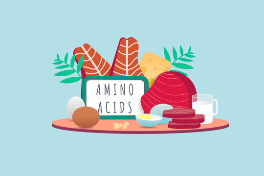 Illustration of food sources that contain amino acids from animal protein. Meat, eggs, milk, fish, nuts, cheese