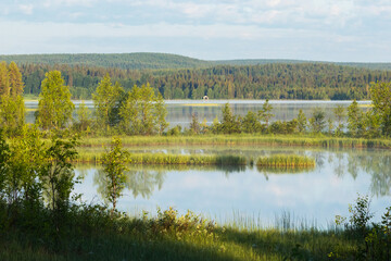 A scenery of a small lake on a calm summer morning near Kuusamo, Northern Finland