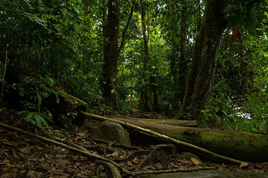 FRENCHI GUIANA PETIT SAUT SINNAMARY SAUT DALLES