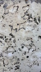 Concrete wall texture