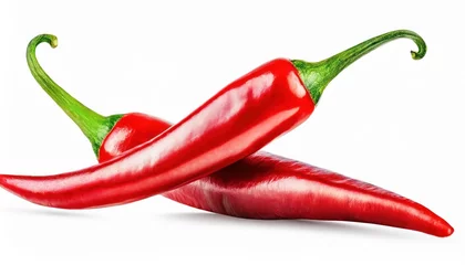 Tuinposter Two red chili peppers, isolated on white background. high quality photo © blackdiamond67