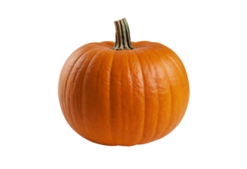 Orange vegetable pumpkin on transparent background