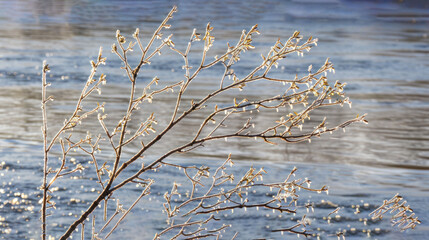a close up of a tree near a body of water with a bird perched on top of a tree branch.
