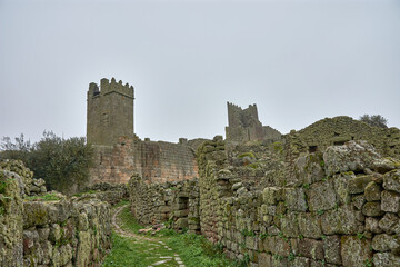 Fototapete bei efototapeten.de bestellen   