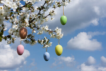 Greeting card Happy Easter with space for text. branches of cherry blossoms are decorated with Easter eggs against blue sky. Holiday concept. Religious holiday Easter. Nature. Spring background