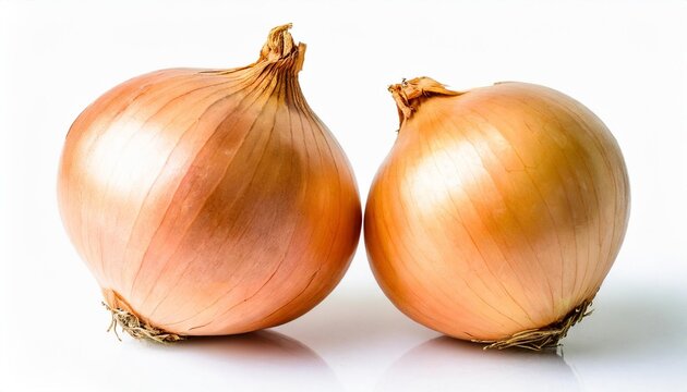 onion isolated on background cutout