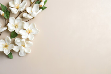 Elegant white flowers arranged on a pastel background with copy space - obrazy, fototapety, plakaty