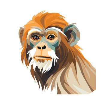 Illustration of a monkey on white flat vector illus