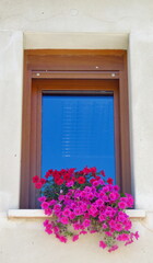 Fototapeta na wymiar window with fuchsia petunias red roses flowers pot pot Mediterranean summer