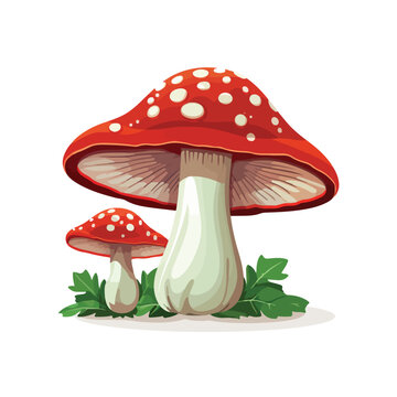 Illustration of mushroom on a white background flat