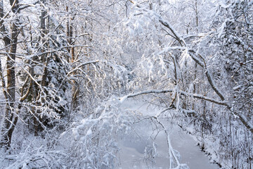 A view to a frozen river lined with snow-covered trees on an early winter day in rural Estonia,...