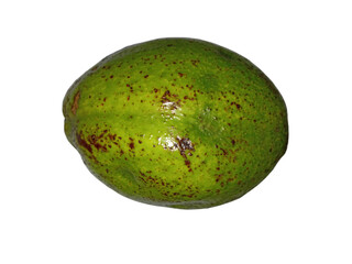 avocados that are ripe and ready to eat
