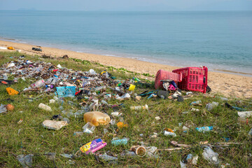 Beach littered with plastic bottles and packaging