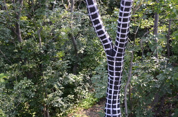 painted mesh on the tree