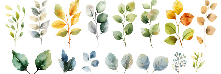 Watercolor illustration of leaves and branches on a white background, perfect for botanical-themed designs and decorations.