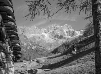 The peaks Punta Gnifetti or Signalkuppe, Parrotspitze, Ludwigshohe, Piramide Vincent - Valsesia...